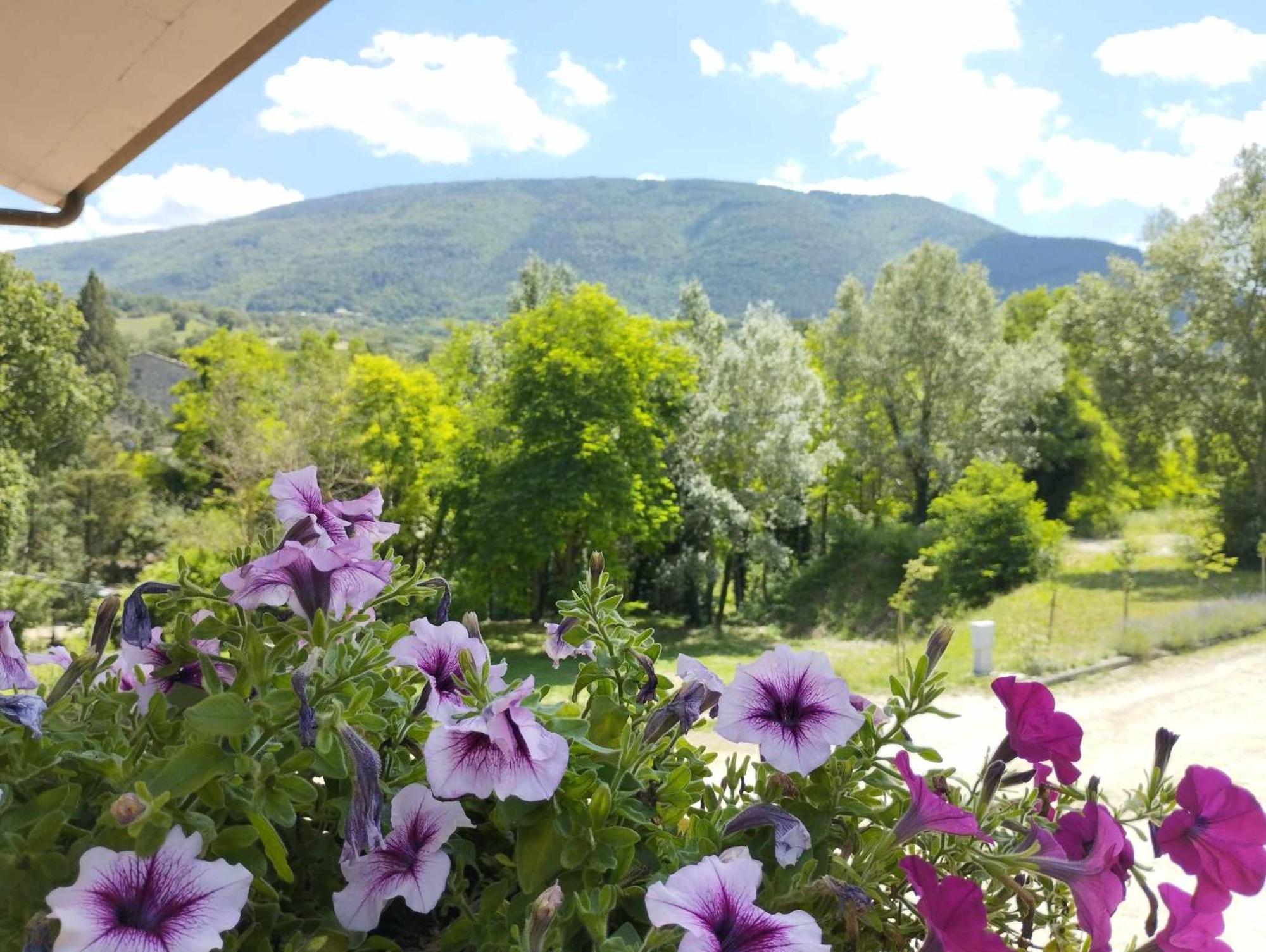 Pianpieve Nature & Relax Apartments Assisi Eksteriør bilde
